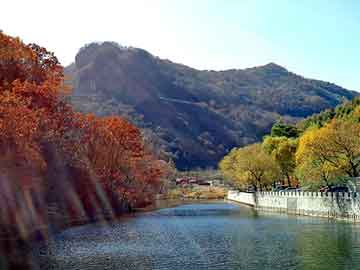 新澳天天开奖资料大全旅游团，儿童文学小说